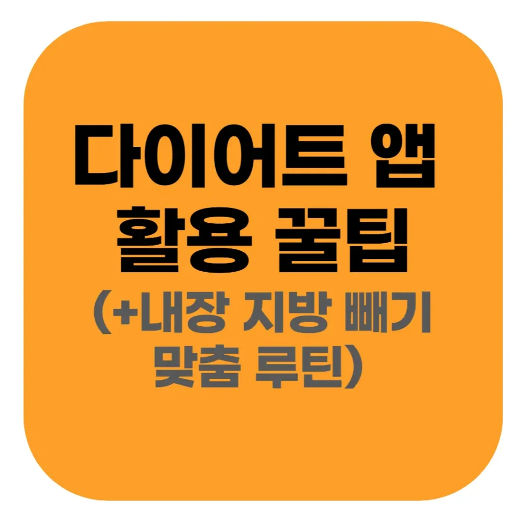 내장지방 빼는 법: 운동·식단 효과 없을 때 AI 다이어트 앱 활용 방법 2 내장지방 빼는 법