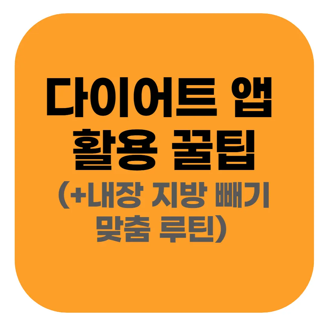 내장지방 빼는 법