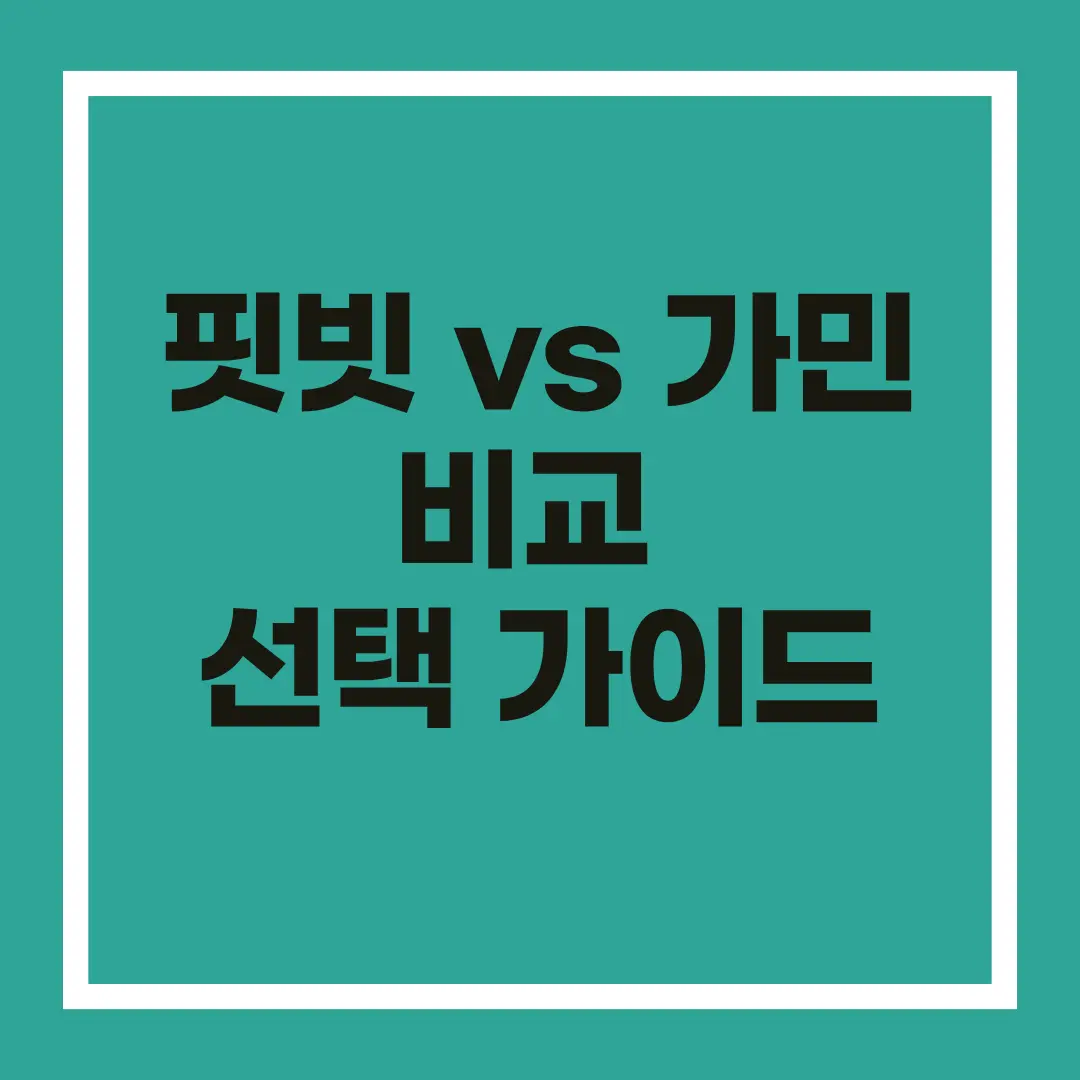 Fitbit vs 가민
